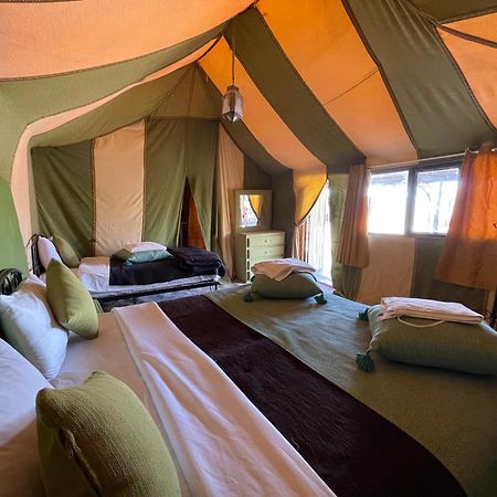 Roses Desert Camp 메르주가 외부 사진
